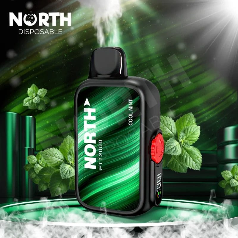 NORTH 12K PUFFS COOL MINT