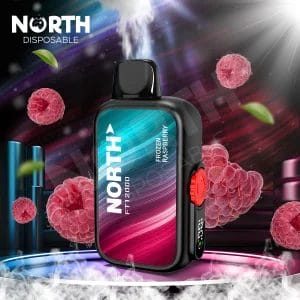 NORTH 12K PUFFS FROZEN RASPBERRY