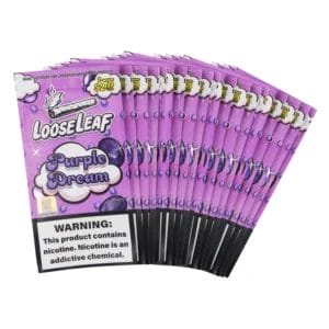 LOOSELEAF 2PK PURPLE DREAM PP 2.99