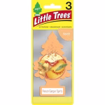 AIR FRESHNER PEACH GINGER 24CT